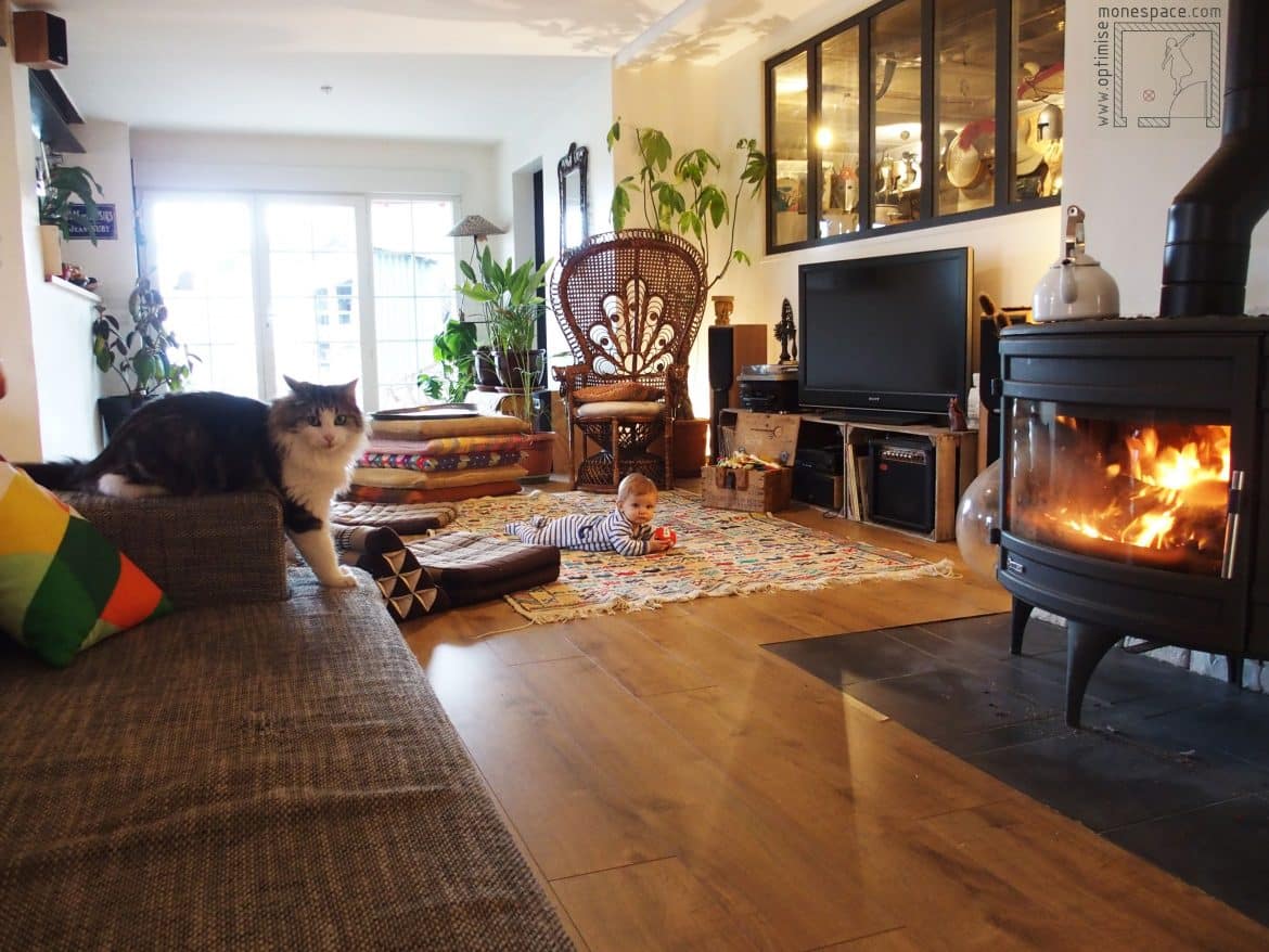 Construire une maison de rêve avec un budget miniature : ils l’ont fait !